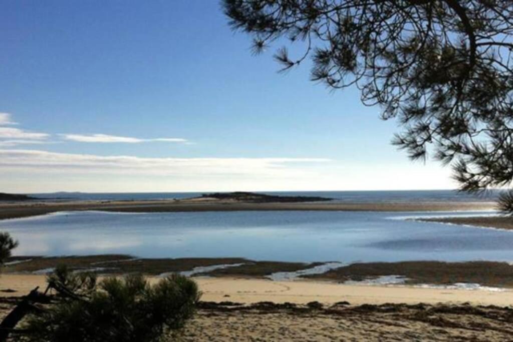 Maison Avec Jardin Clos. Animaux Acceptes - Wifi - Proche Plages De La Trinite Sur Mer Et Carnac Buitenkant foto