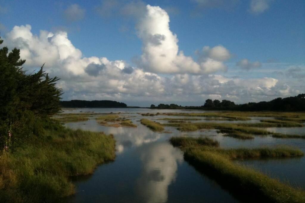 Maison Avec Jardin Clos. Animaux Acceptes - Wifi - Proche Plages De La Trinite Sur Mer Et Carnac Buitenkant foto